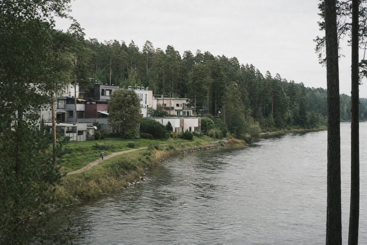 A riverside town edge where houses meet pine forest